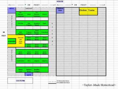 How to Better Protect Your Free-Range Flock Image